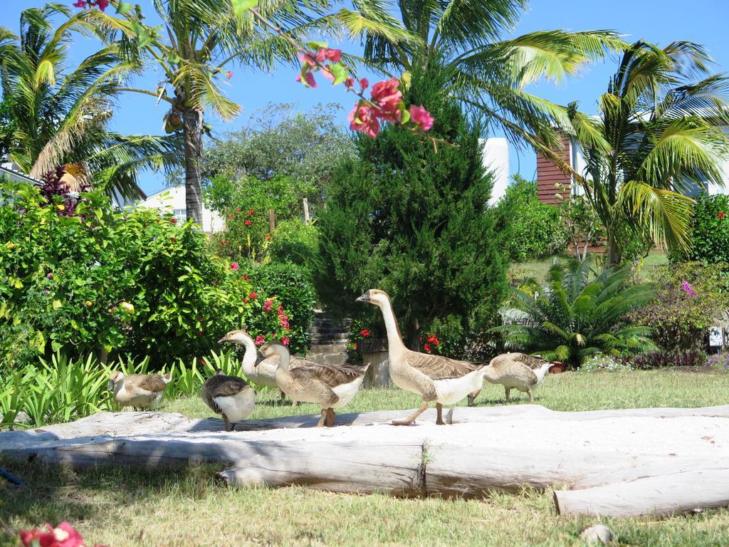 Residence Foulsafat Rodrigues Island Exteriér fotografie