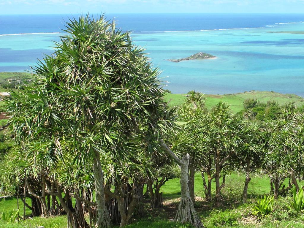 Residence Foulsafat Rodrigues Island Exteriér fotografie